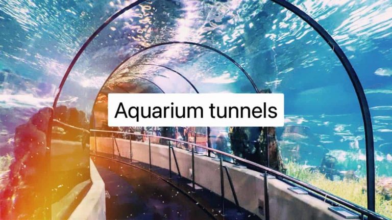 بيراميدز ميجا مول العاصمة الادارية – Pyramids Mega Mall New Capital